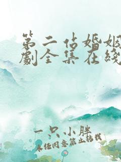 第二站婚姻电视剧全集在线观看