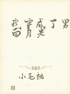 我穿成了男主的白月光