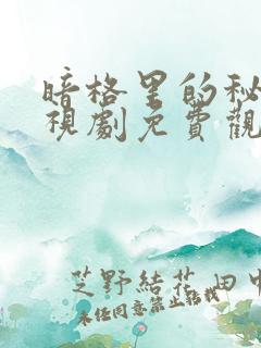 暗格里的秘密电视剧免费观看星辰