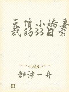 天价小娇妻,总裁的33日索情全文免费