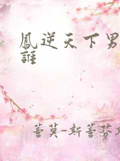 凤逆天下男主是谁