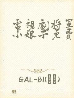 电视剧将军家的小娘子免费看