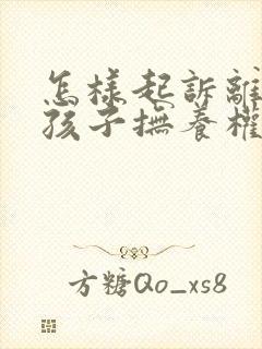 怎样起诉离婚的孩子抚养权