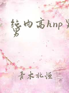 纯肉高hnp男男