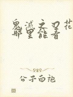 鬼灭之刃花街篇哪里能看