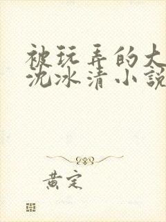 被玩弄的大小姐沈冰清小说