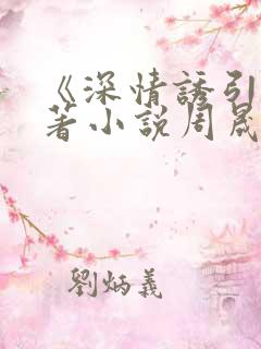 《深情诱引》原著小说周晟安结局