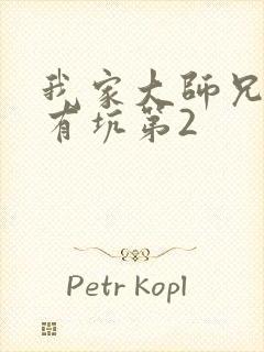 我家大师兄脑子有坑第2