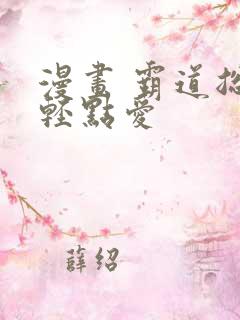 漫画 霸道总裁轻点爱