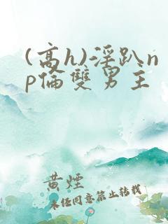 (高h)淫趴np伦双男主