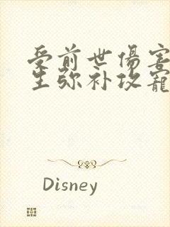 受前世伤害攻重生弥补攻宠文