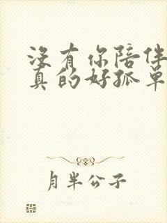 没有你陪伴,我真的好孤单歌词