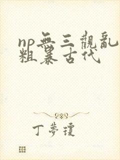 np无三观乱h粗暴古代