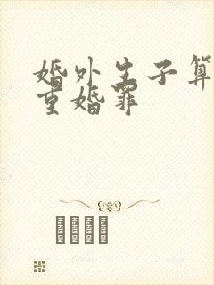 婚外生子算不算重婚罪