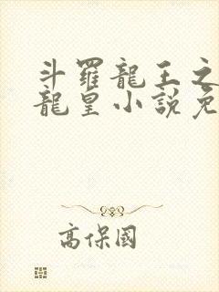 斗罗龙王之光暗龙皇小说免费阅读