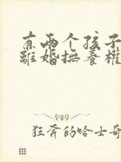 有两个孩子夫妻离婚抚养权怎么判