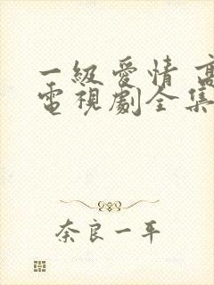 一级爱情 高清电视剧全集