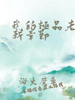 我的极品老婆最新章节