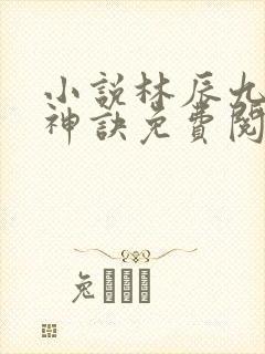 小说林辰九天斩神诀免费阅读