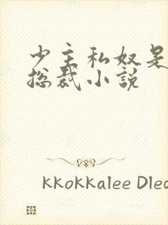 少主私奴是霸道总裁小说