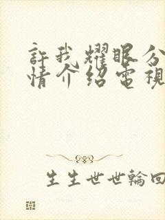 许我耀眼分集剧情介绍电视猫