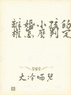 离婚小孩的抚养权怎么判定