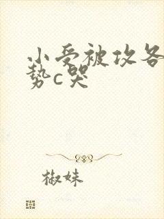 小受被攻各种姿势c哭