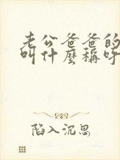 老公爸爸的哥哥叫什么称呼