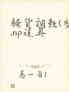 骚货调教(双性,np道具