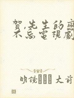 贺,先生的恋恋不忘电视剧免费