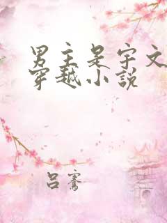 男主是宇文邕的穿越小说