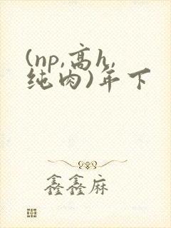 (np,高h,纯肉)年下