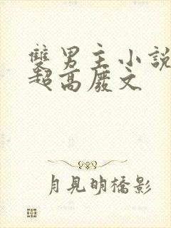 双男主小说车速超高废文