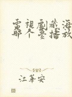 电视剧藏海传在哪个台播放