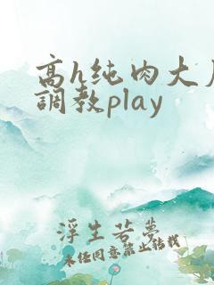 高h纯肉大尺度调教play