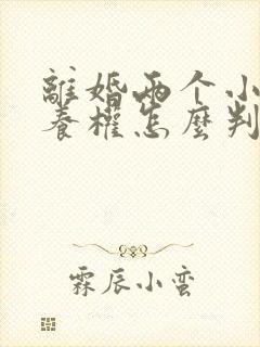 离婚两个小孩抚养权怎么判