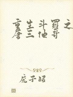 重生斗罗之我是唐三他哥