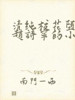 清纯校花堕落记赵诗宁的小说全文阅