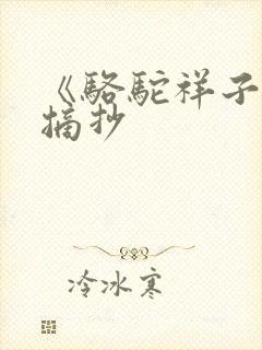 《骆驼祥子》的摘抄