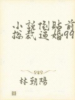 小说倒贴前妻:总裁逼婚99次免费阅读