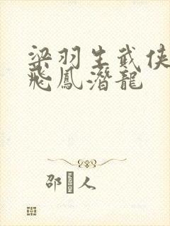 梁羽生武侠小说飞凤潜龙