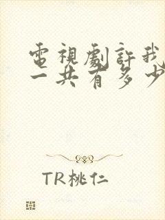 电视剧许我耀眼一共有多少集