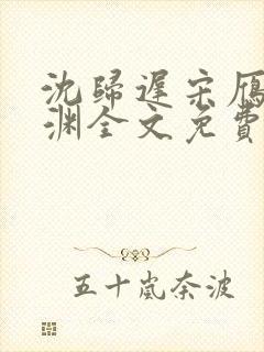 沈归迟宋雁书陆渊全文免费阅读