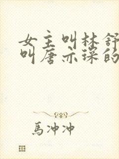 女主叫林舒男主叫唐亦琛的小说