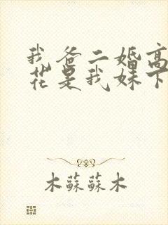 我爸二婚高冷校花是我妹下载