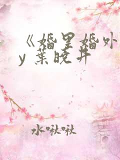 《婚里婚外》by 叶晓井