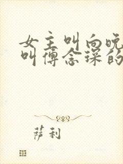 女主叫向晚男主叫傅念琛的小说