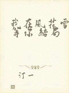 我在风花雪月里等你 结局