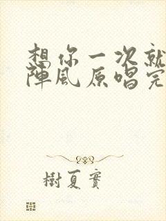 想你一次就起一阵风原唱完整版