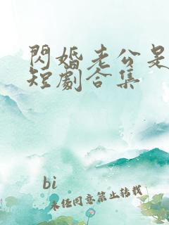 闪婚老公是豪门短剧合集